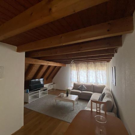 Get Cozy Family Flat Zuerich Lägenhet Exteriör bild