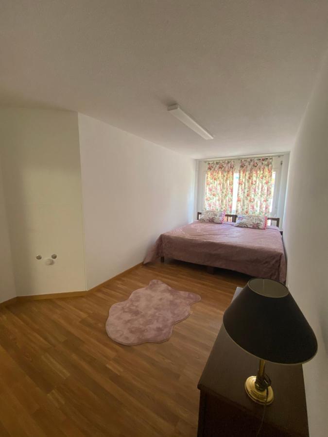 Get Cozy Family Flat Zuerich Lägenhet Exteriör bild