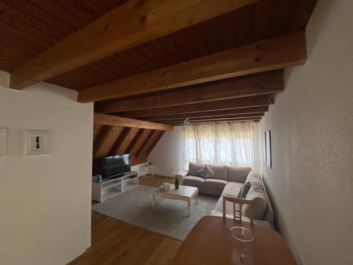 Get Cozy Family Flat Zuerich Lägenhet Exteriör bild